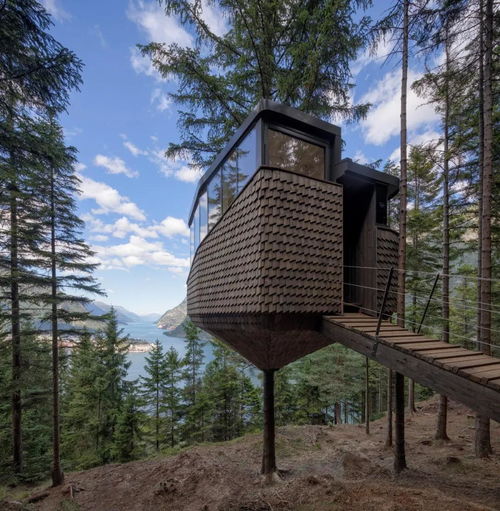 孤獨(dú)的小屋