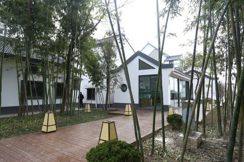 一對夫婦在上海鄉(xiāng)下花400多天改造宅基地,圖個啥