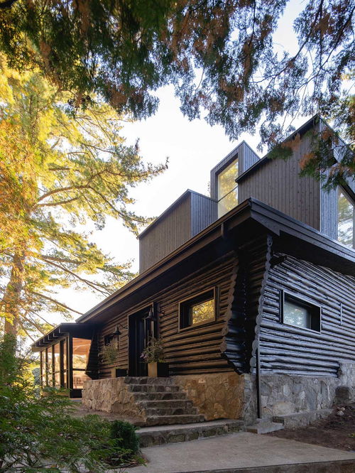 大叔林中自建小屋,就地取材全屋實(shí)木,進(jìn)屋我后就舍不得走了